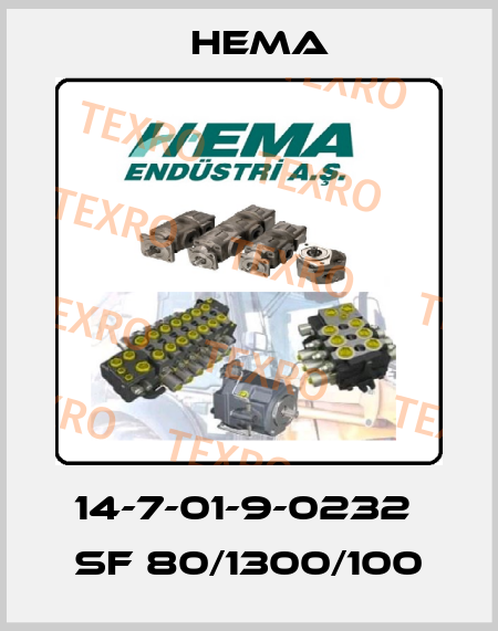 14-7-01-9-0232  SF 80/1300/100 Hema