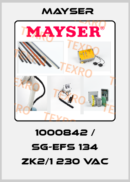 1000842 / SG-EFS 134 ZK2/1 230 VAC Mayser