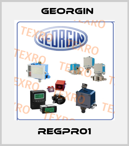REGPR01 Georgin