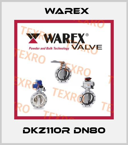 DKZ110R DN80 Warex