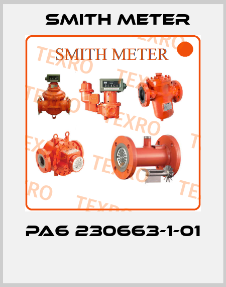 PA6 230663-1-01  Smith Meter