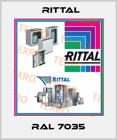 RAL 7035 Rittal