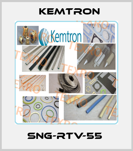 SNG-RTV-55  KEMTRON
