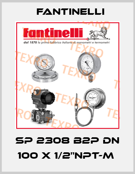 SP 2308 B2P DN 100 X 1/2"NPT-M  Fantinelli