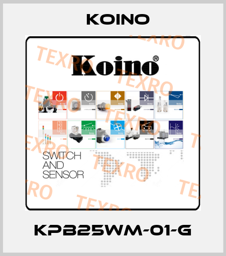 KPB25WM-01-G Koino