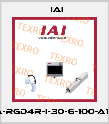 RCA-RGD4R-I-30-6-100-A1-S-B IAI