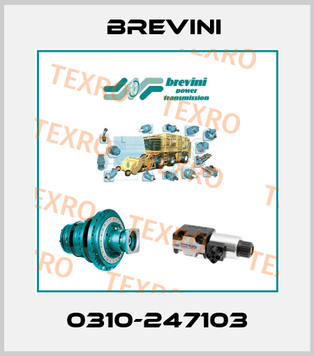 0310-247103 Brevini