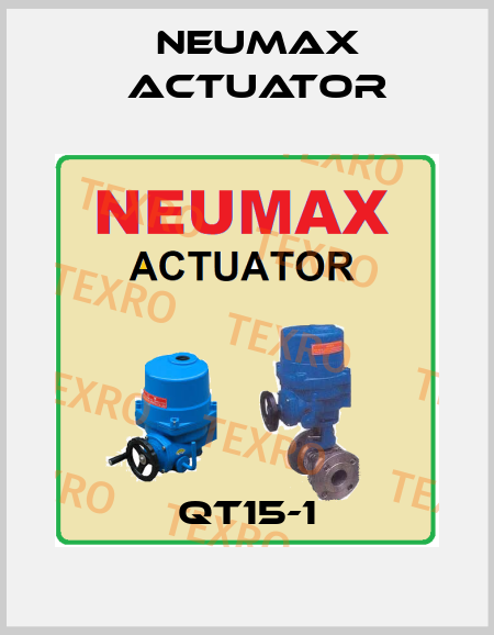 QT15-1 Neumax Actuator