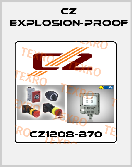 CZ1208-B70 CZ Explosion-proof