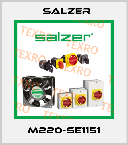 M220-SE1151 Salzer