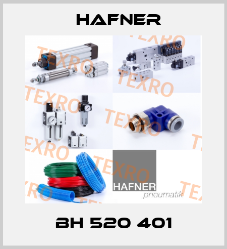 BH 520 401 Hafner