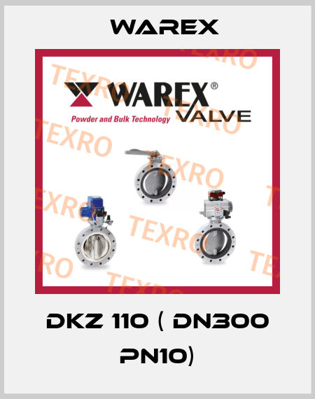 DKZ 110 ( DN300 PN10) Warex