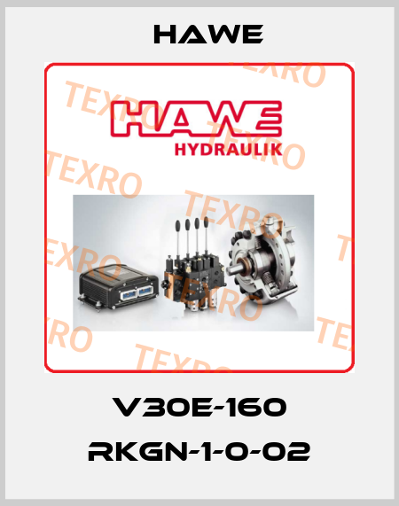 V30E-160 RKGN-1-0-02 Hawe