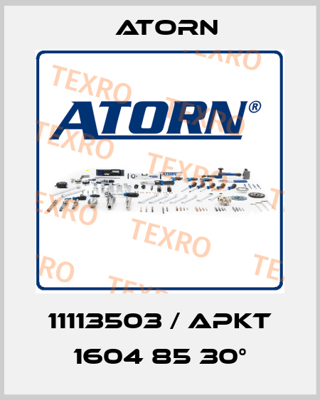 11113503 / APKT 1604 85 30° Atorn