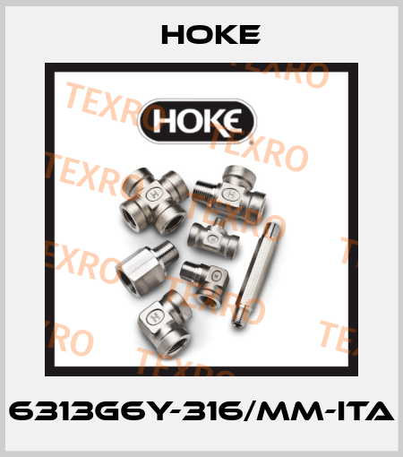 6313G6Y-316/MM-ITA Hoke