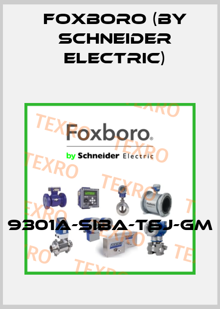 9301A-SIBA-TSJ-GM Foxboro (by Schneider Electric)