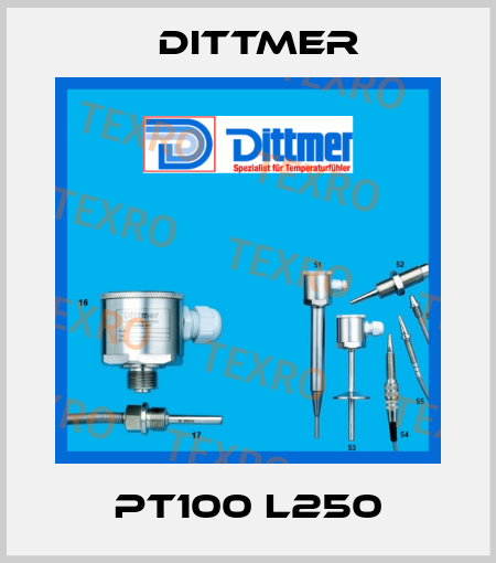 Pt100 L250 Dittmer