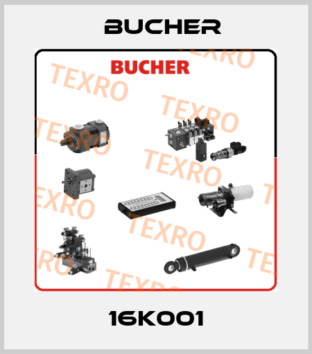 16K001 Bucher