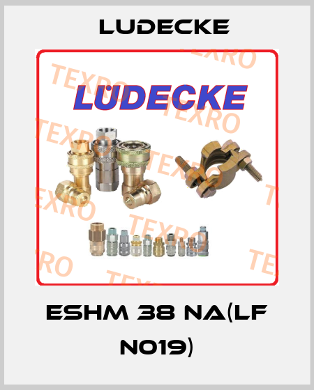 ESHM 38 NA(LF N019) Ludecke