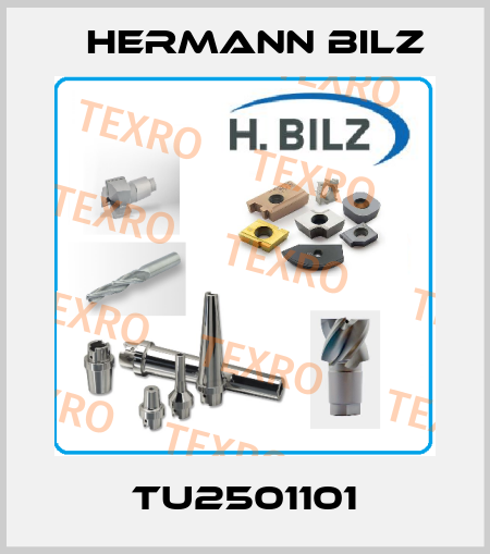 TU2501101 Hermann Bilz