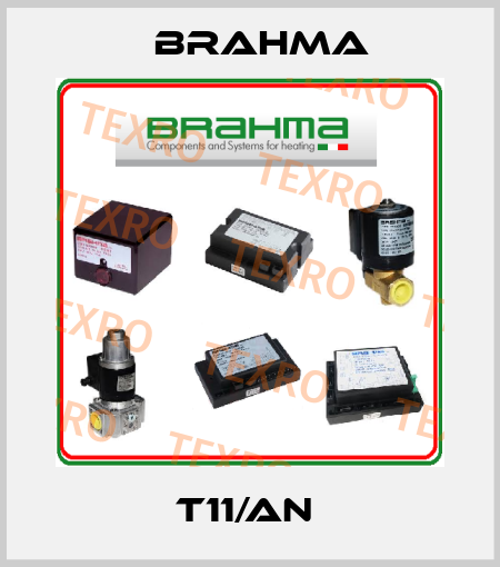 T11/AN  Brahma