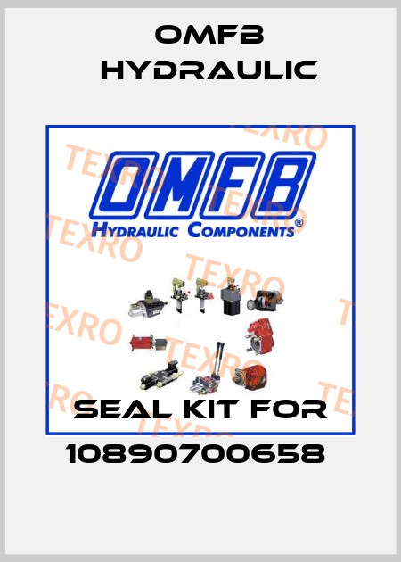 Seal kit for 10890700658  OMFB Hydraulic