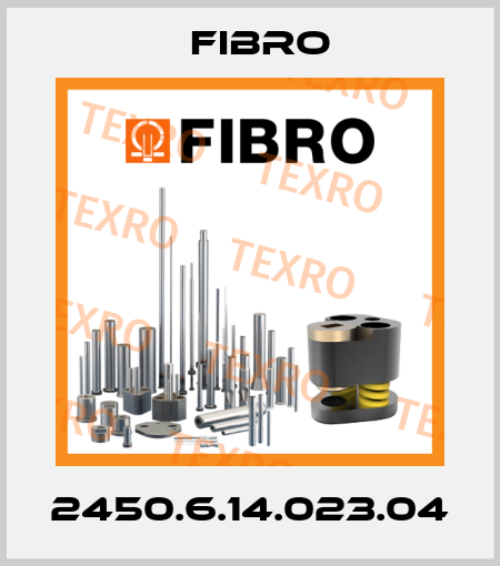 2450.6.14.023.04 Fibro