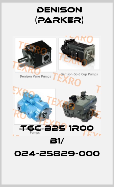 T6C B25 1R00 B1/ 024-25829-000 Denison (Parker)