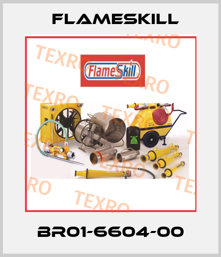 BR01-6604-00 FlameSkill