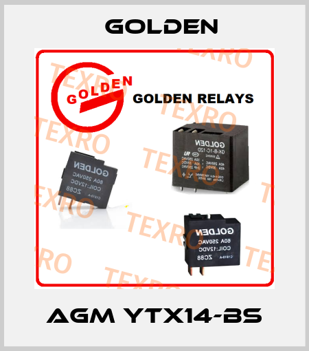 AGM YTX14-BS Golden