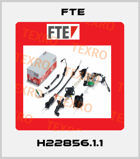 H22856.1.1 FTE