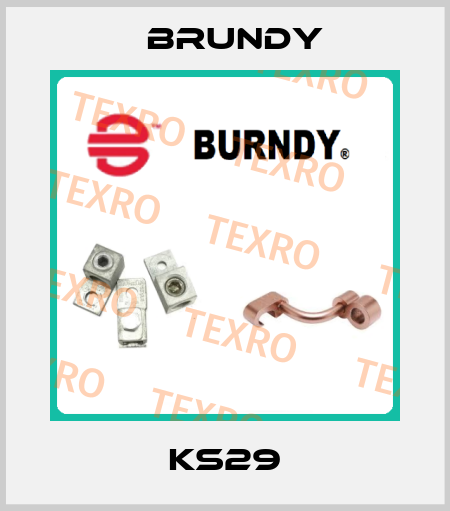 KS29 Brundy