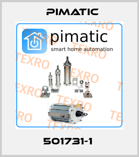 501731-1  Pimatic