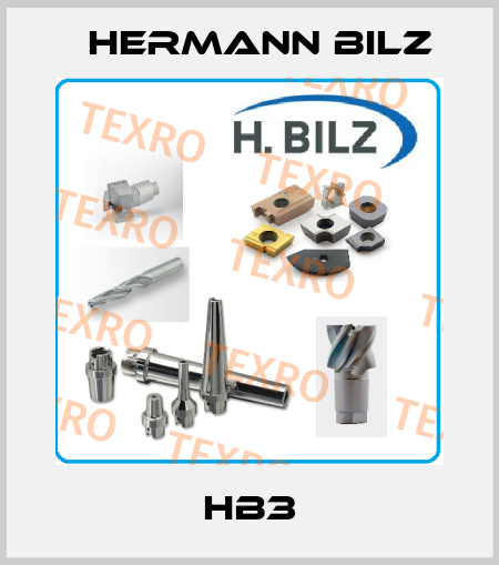 HB3 Hermann Bilz