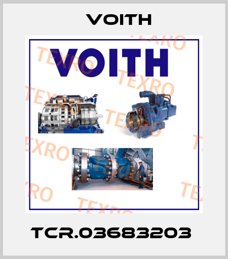 TCR.03683203  Voith