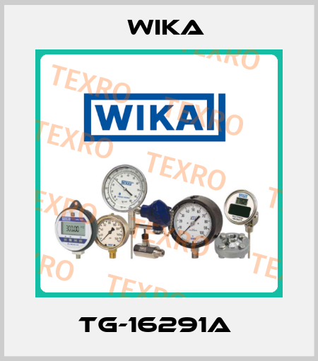 TG-16291A  Wika