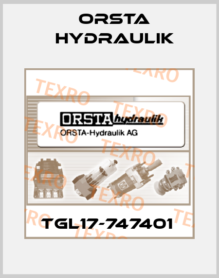 TGL17-747401  Orsta Hydraulik