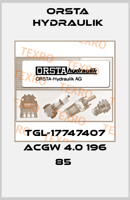TGL-17747407 ACGW 4.0 196 85  Orsta Hydraulik