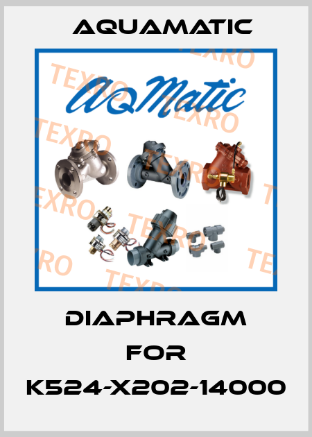 Diaphragm for K524-X202-14000 AquaMatic