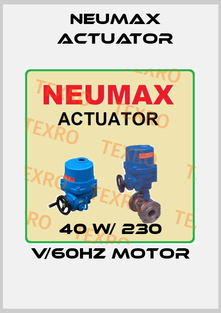 40 W/ 230 V/60Hz motor Neumax Actuator