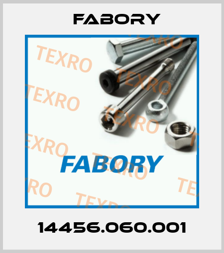 14456.060.001 Fabory