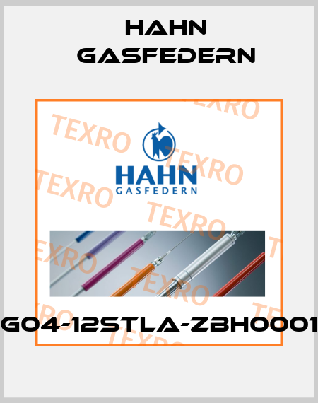 G04-12STLA-ZBH0001 Hahn Gasfedern