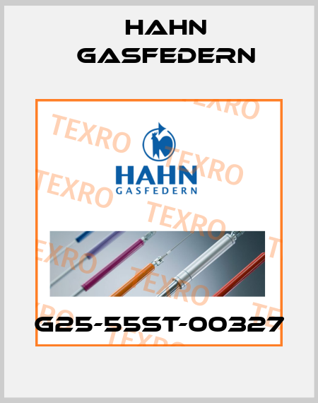 G25-55ST-00327 Hahn Gasfedern