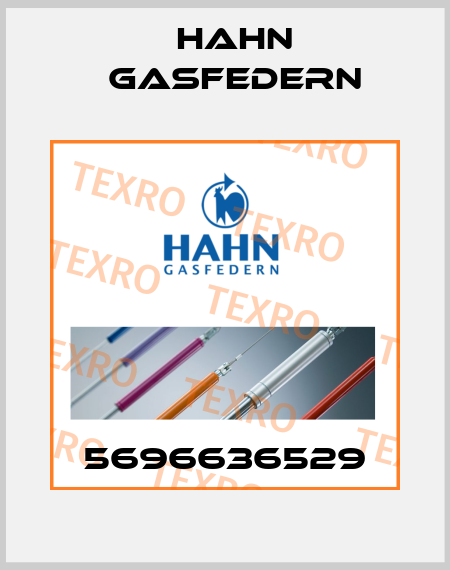 5696636529 Hahn Gasfedern