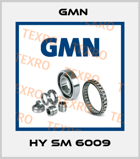 HY SM 6009 Gmn