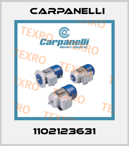 1102123631 Carpanelli