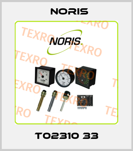 T02310 33 Noris