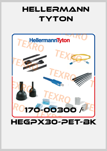 170-00300 / HEGPX30-PET-BK Hellermann Tyton