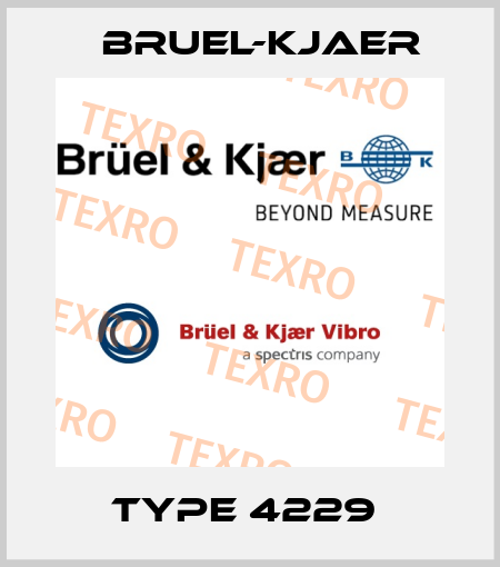 TYPE 4229  Bruel-Kjaer