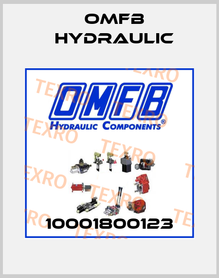 10001800123 OMFB Hydraulic